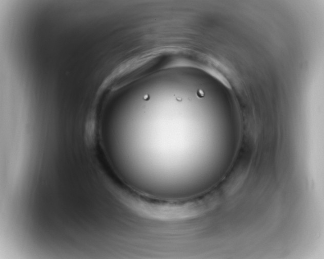 X0000099940016200805231301
