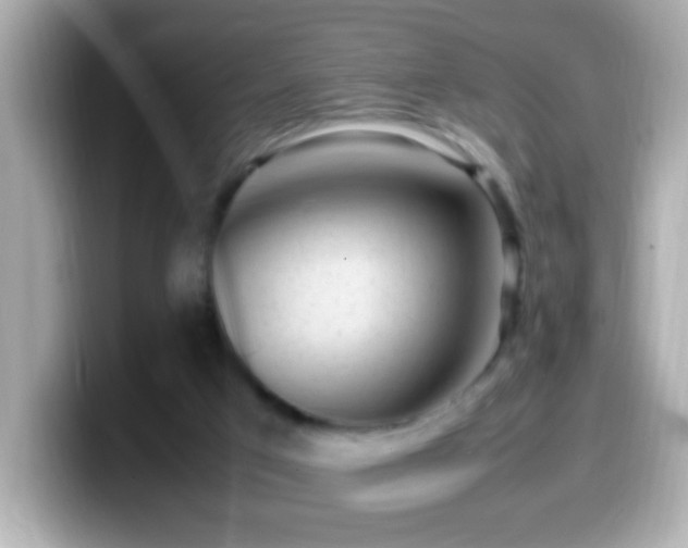 X0000099940017200805231301