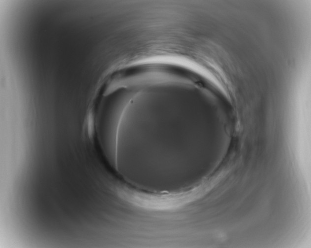 X0000099940019200805231301