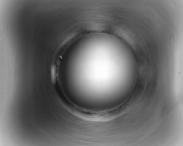 X0000099940020200805231301