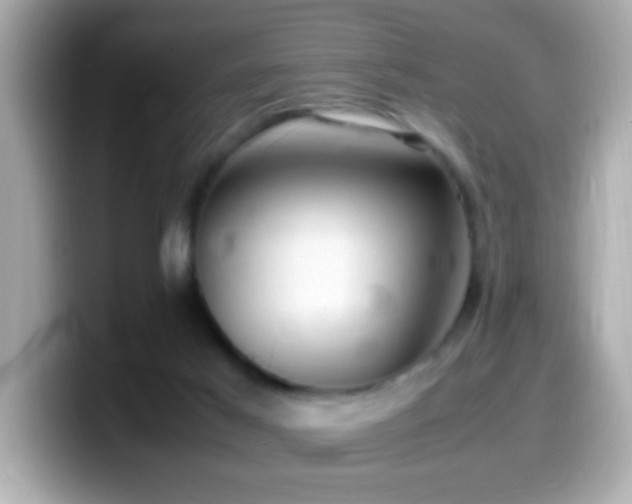 X0000099940021200805231301