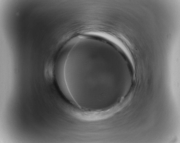 X0000099940023200805231301