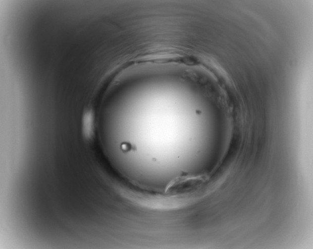 X0000099940024200805231301