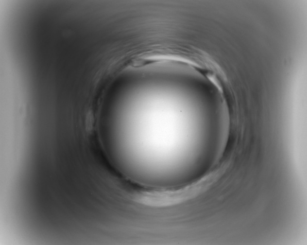 X0000099940025200805231301