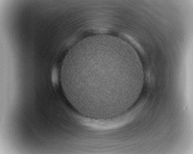 X0000099940026200805231301