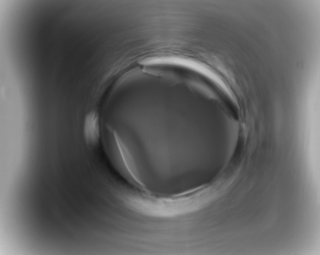 X0000099940027200805231301