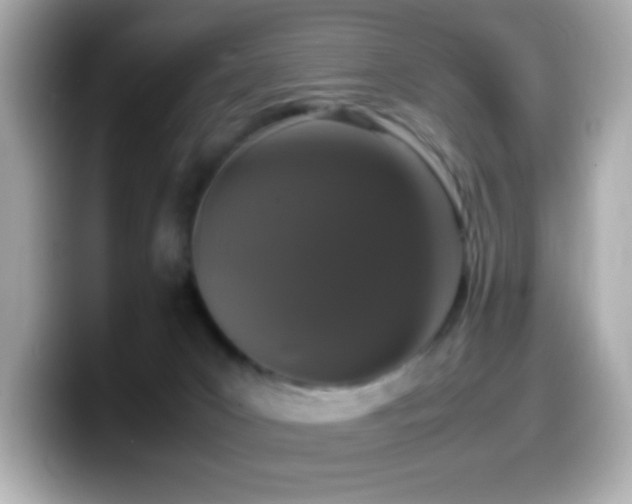 X0000099940031200805231301
