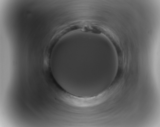 X0000099940035200805231301
