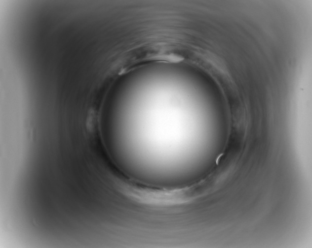 X0000099940036200805231301