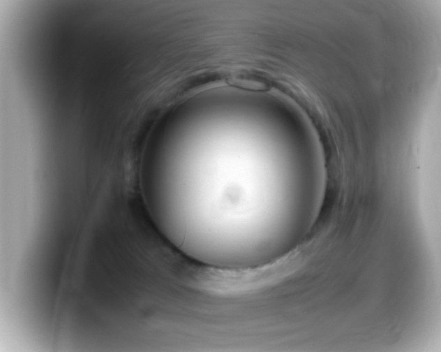 X0000099940037200805231301