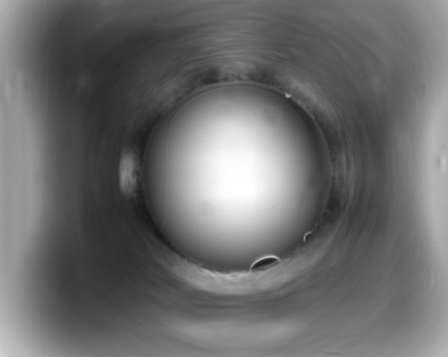 X0000099940038200805231301