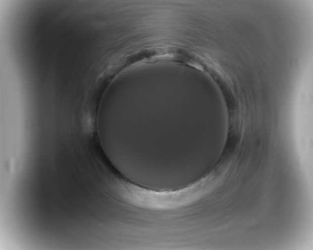 X0000099940039200805231301