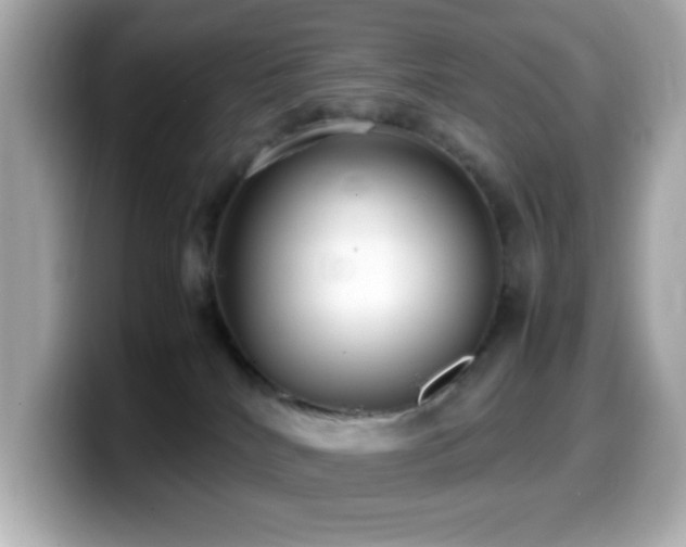 X0000099940040200805231301
