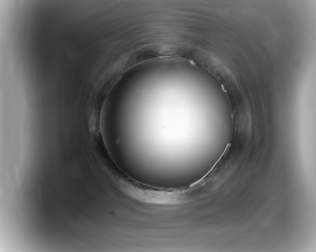 X0000099940044200805231301