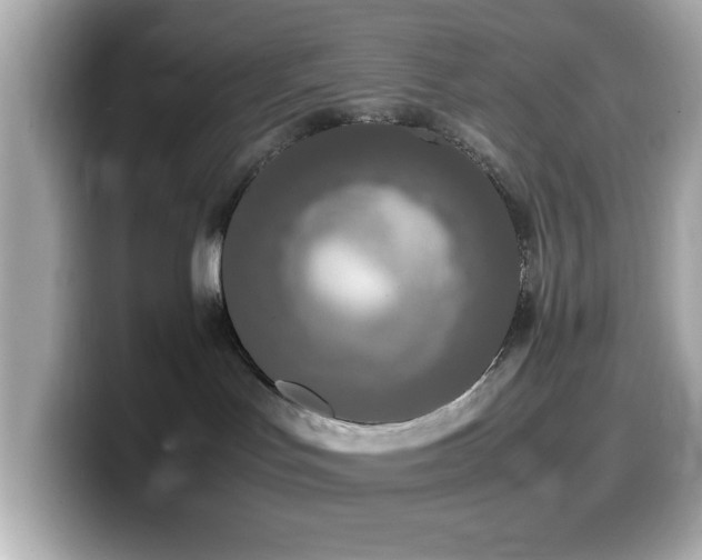 X0000099940047200805231301