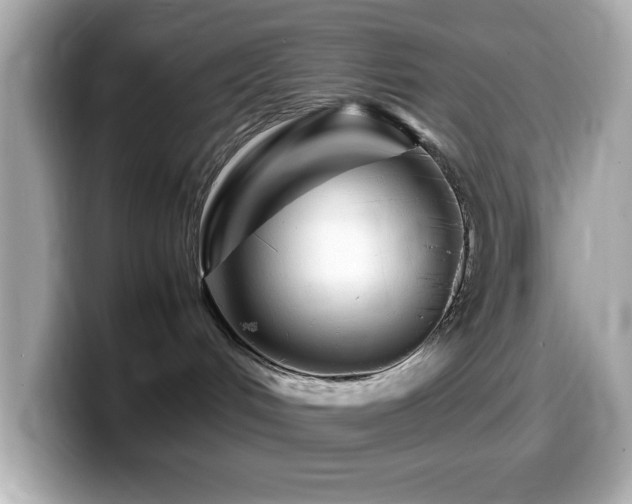 X0000099940048200805231301