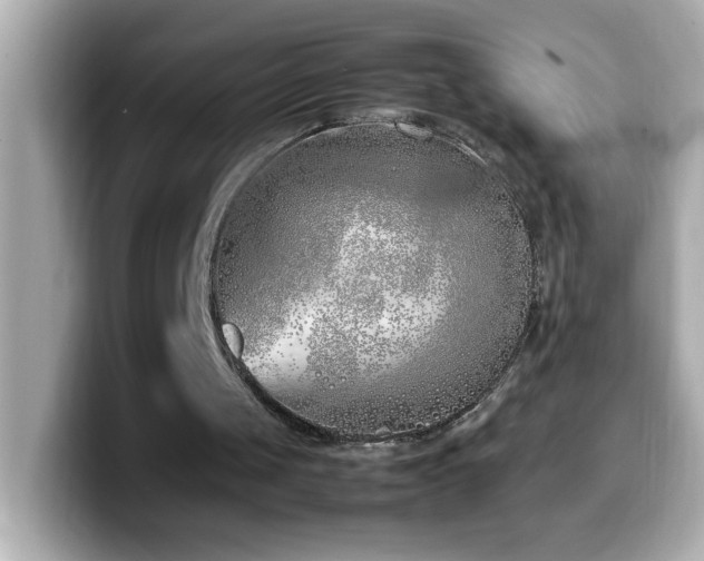 X0000099940049200805231300