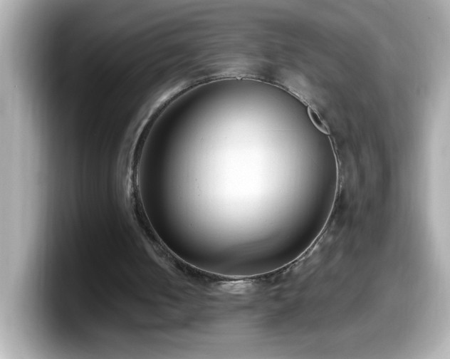 X0000099940050200805231300