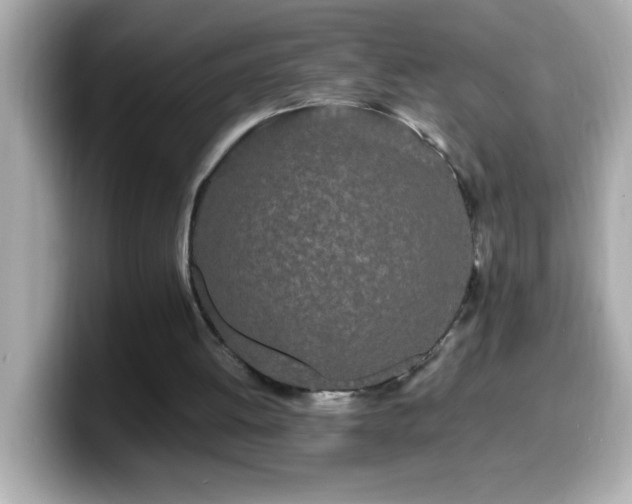 X0000099940052200805231300
