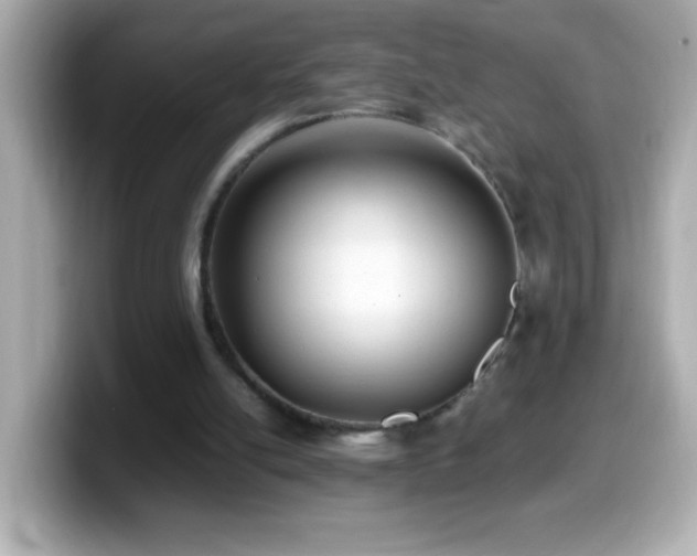 X0000099940054200805231300