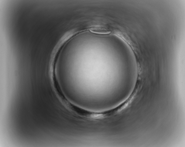X0000099940055200805231300