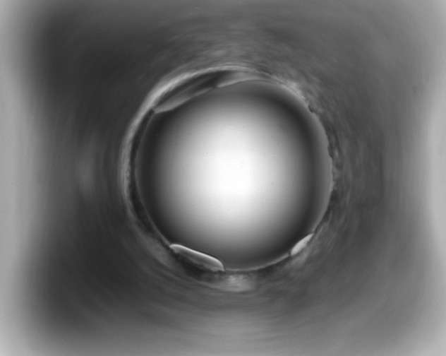 X0000099940056200805231300