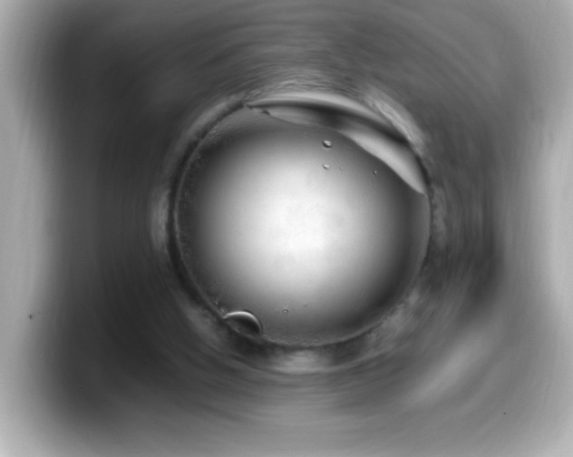 X0000099940058200805231300