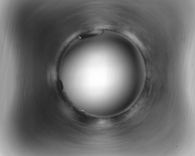 X0000099940060200805231300