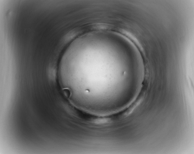 X0000099940063200805231300