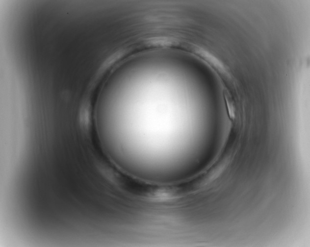 X0000099940064200805231300