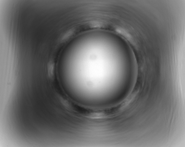 X0000099940066200805231300