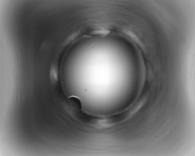 X0000099940068200805231300