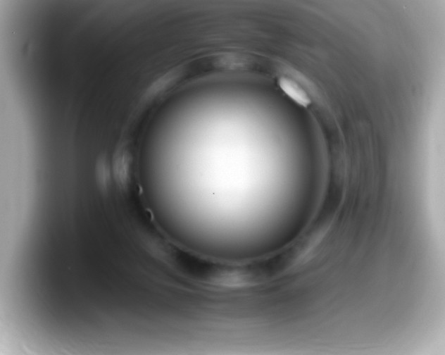 X0000099940071200805231300
