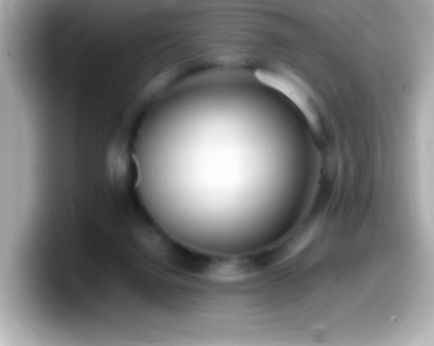 X0000099940072200805231300