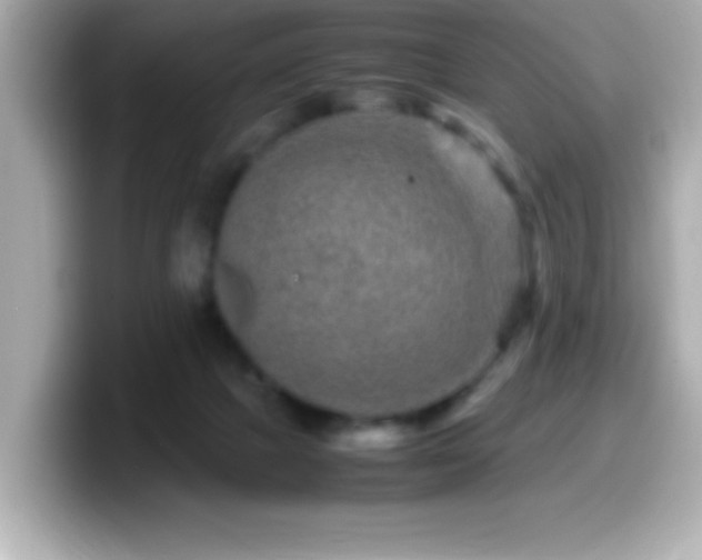 X0000099940073200805231300