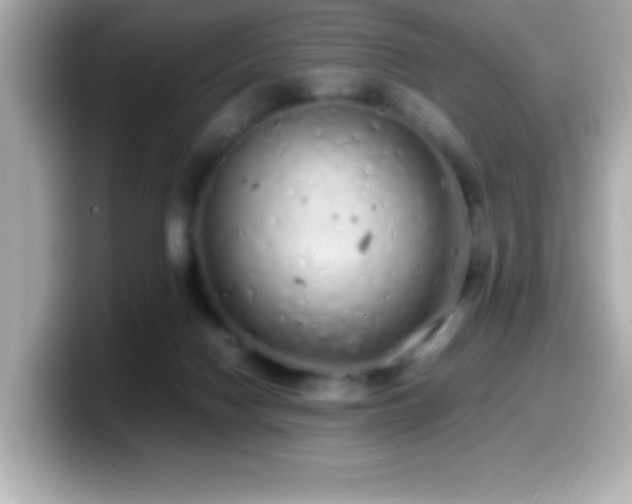 X0000099940074200805231300