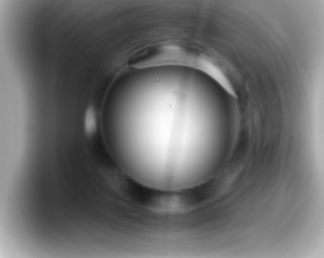X0000099940075200805231300