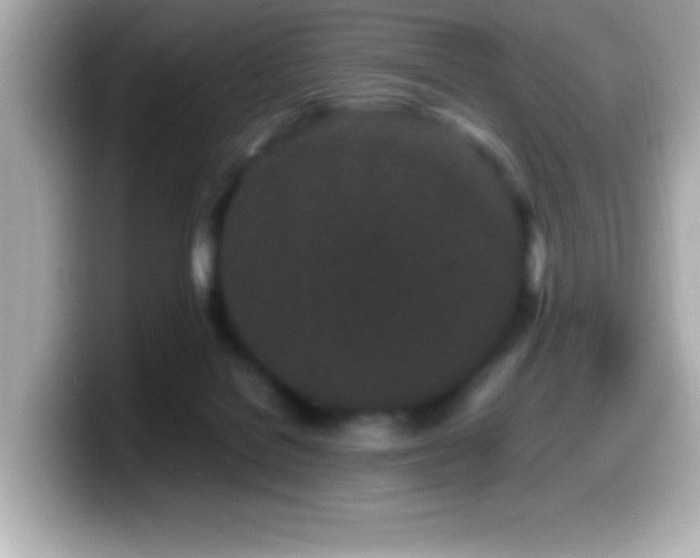 X0000099940076200805231301