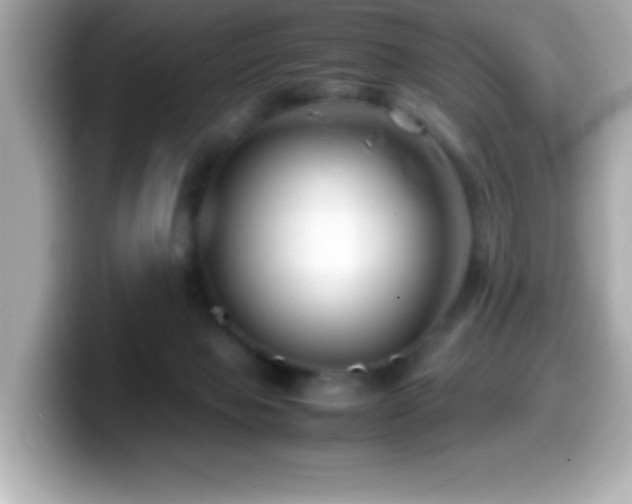 X0000099940077200805231301