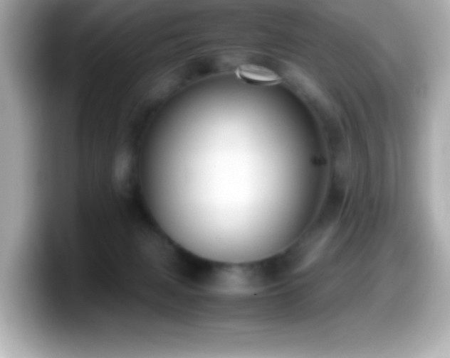 X0000099940079200805231301