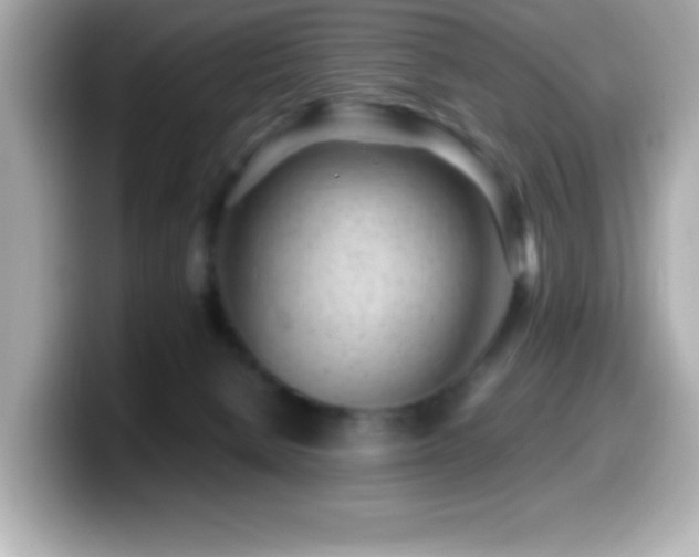 X0000099940080200805231301