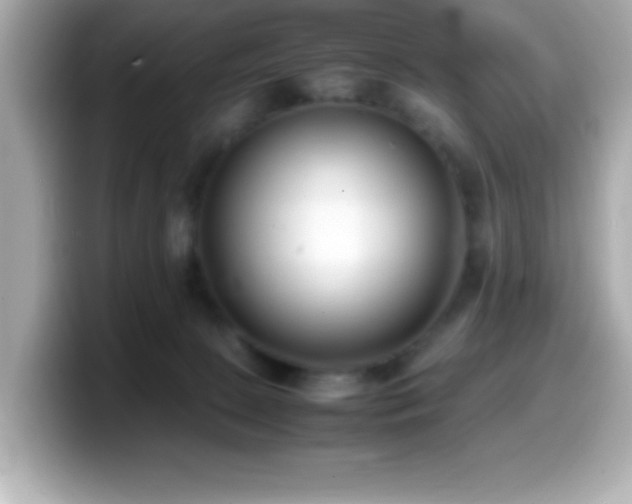 X0000099940081200805231301