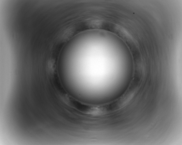 X0000099940083200805231301