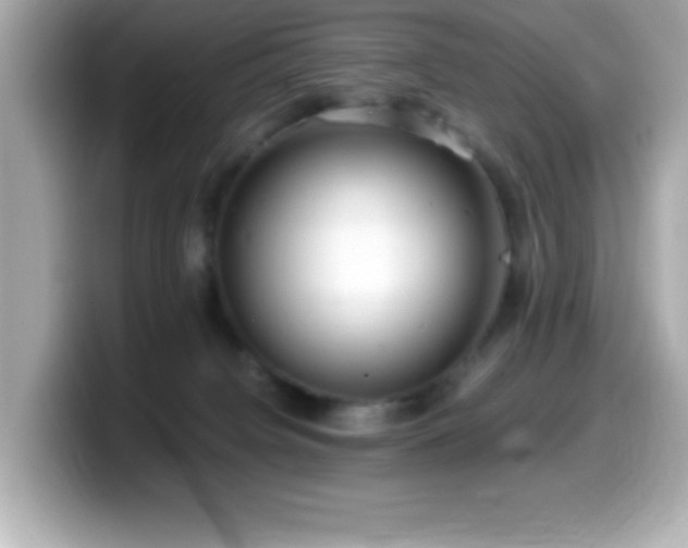 X0000099940084200805231301