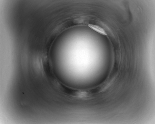 X0000099940085200805231301