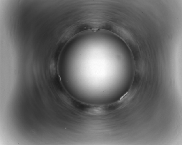 X0000099940086200805231301