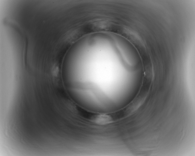 X0000099940087200805231301