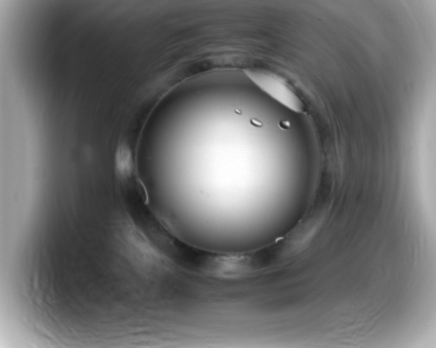 X0000099940089200805231301