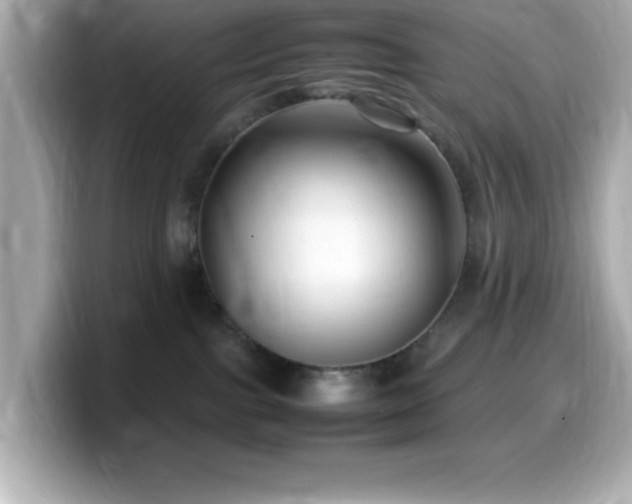 X0000099940091200805231301