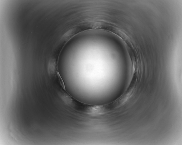 X0000099940092200805231301